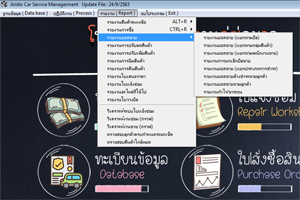 หัวข้อรายงานการขาย