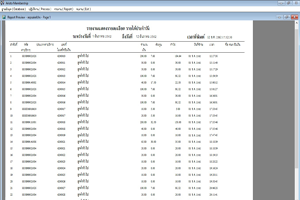 รายงานรายได้แบบละเอียด