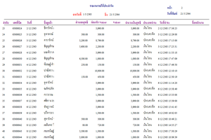 รายงานรายได้(สรุป)